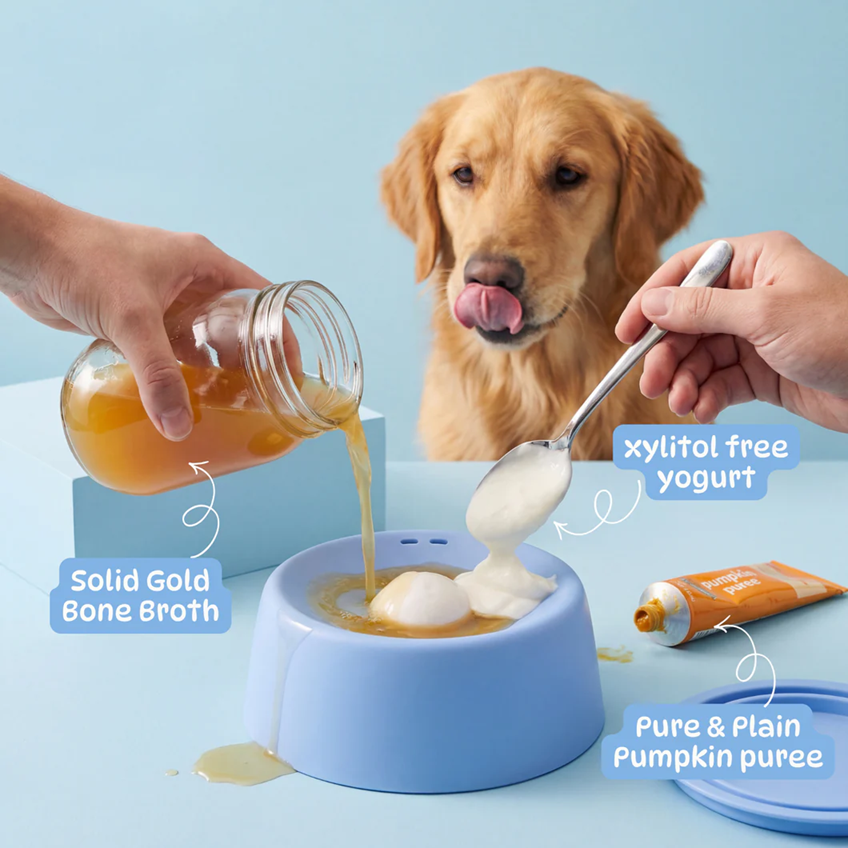 Spin & Sip